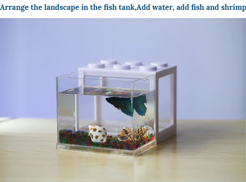 Title 10, Betta fish Fighting Cylinder Rumble Fish Cylind...