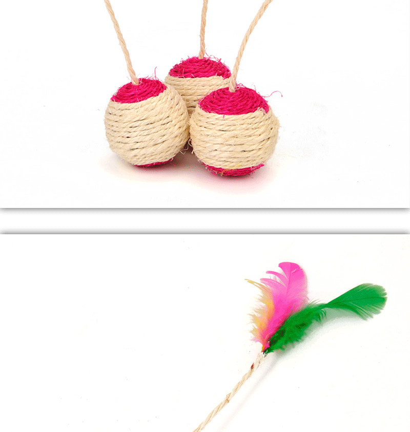 Title 5, Pet Cat Paw Grinding Interactive Play Ball Cat ...