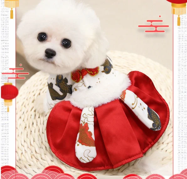 Two-legged and four-legged clothes for small and medium dogs. Provide your dog comfort and style with our tailored and e — photo 1