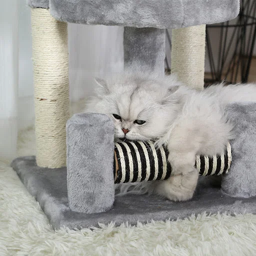 Title 3, Cat litter, cat tree, all-season general purpos...