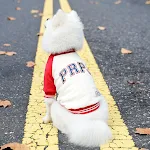 Pet Plus Fleece Sweater for Pets — photo 5