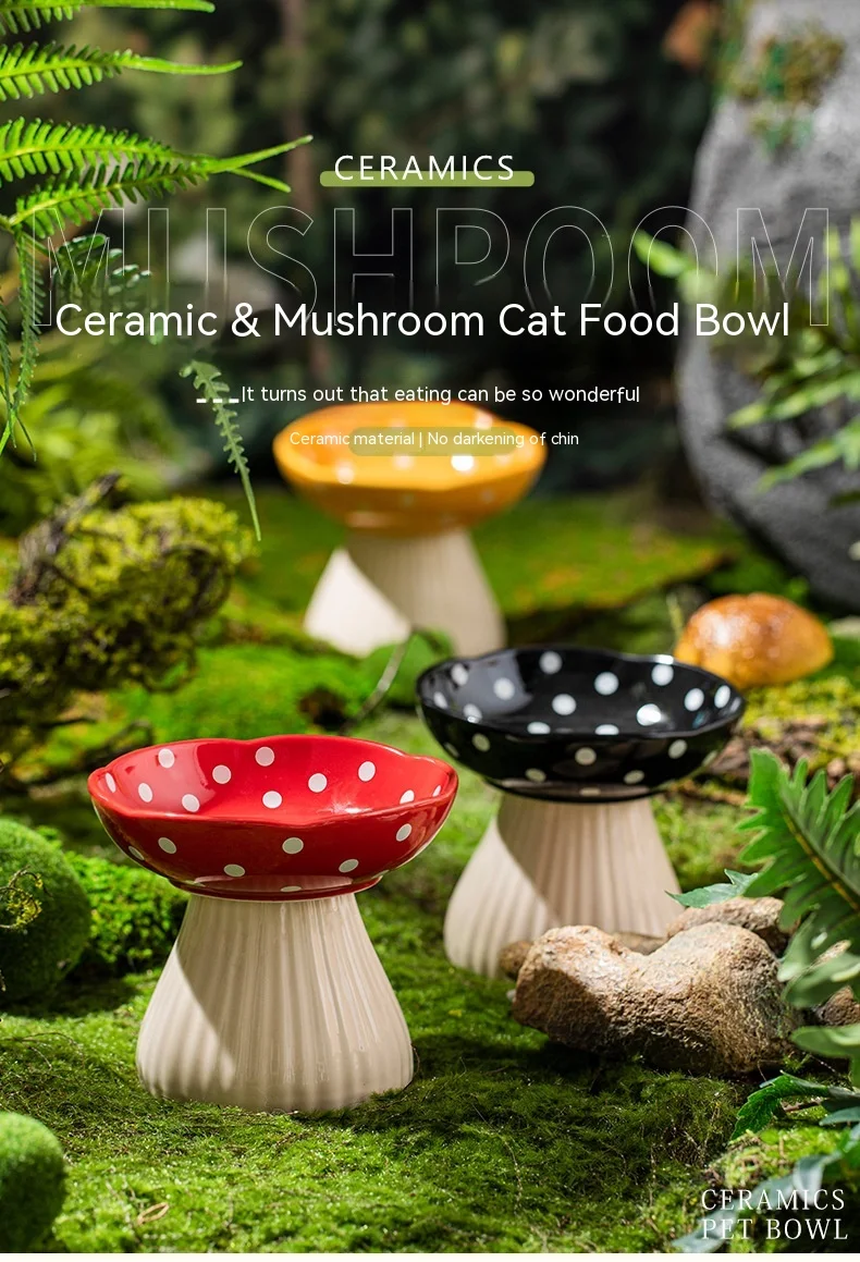 Title 1, High foot protection and anti-roll cat bowls, d...