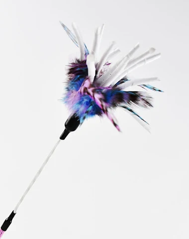 Image product - 1