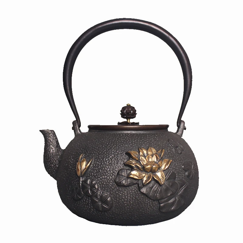 Title 1, Mini Japanese Style Iron Teapot for Individual ...