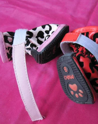 Image product - 2