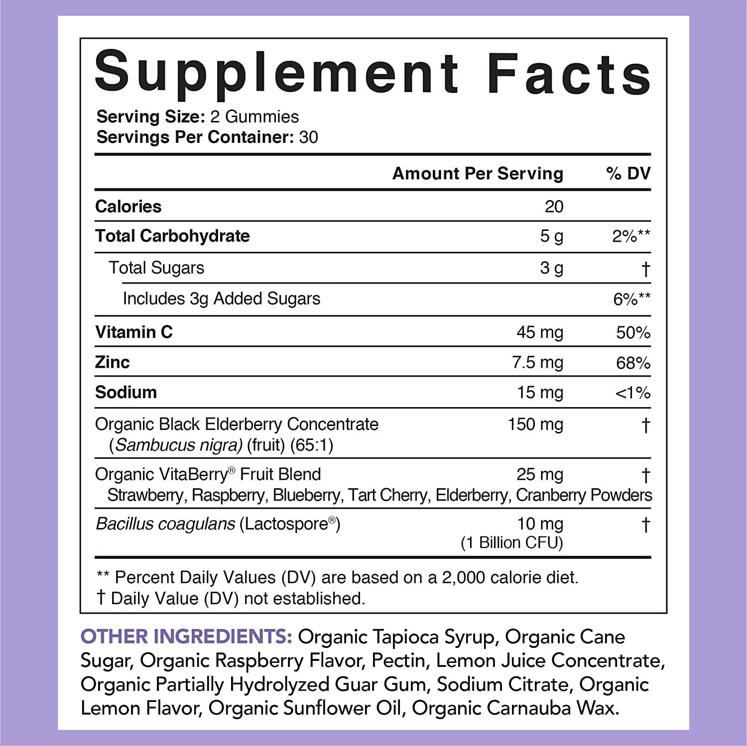 Elderberry Gummies for Immune Support. Delicious gummies with Vitamin C and Zinc to boost your immune system. Natural he — photo 4