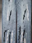miniatures image - 10