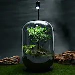 Tree Of Life Smoky Gray Base
