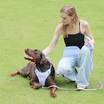 miniatures image - 9