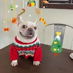 Pet Christmas Sweater Dog Cat Fight Festive Fun and Warmth Adorable Holiday Outfit Comfortable and Cozy Perfect for Phot — photo 3