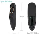 G10 voice