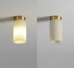 With Light Source