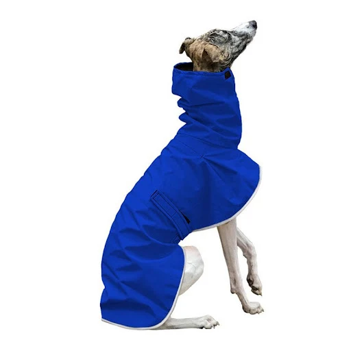 Title 8, Wish belt pet clothing, four-legged, multi-colo...