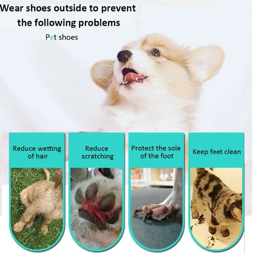 8pcs White Pet Shoes Protective Non-woven Fabric Pet Disposable Shoe Covers Dog Foot Cover For Outdoor Activities of Pet — photo 3
