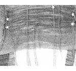 miniatures image - 2