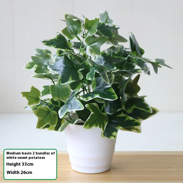 product image - 20