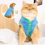 Blue Green