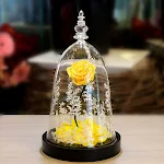 miniatures image - 2