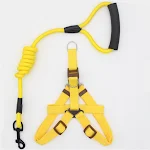 Simple Dog Leash for Comfortable Walks Secure and Durable Control Easy to Use Design Perfect for Daily Walks and Trainin — photo 8