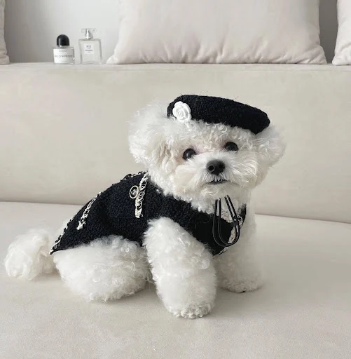Title 4, Pet Dog Cat Accessories Knitted Hat Warm and co...