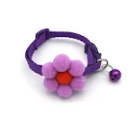 purple flower