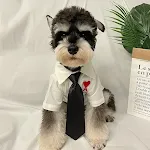 Tie