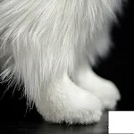 miniatures image - 2