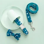 miniatures image - 2