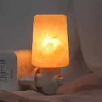 Table Lamp Shape