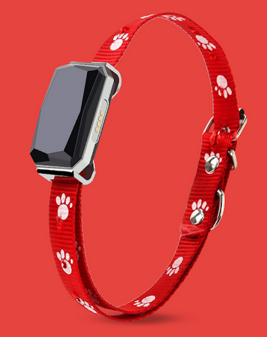 Image product - 0