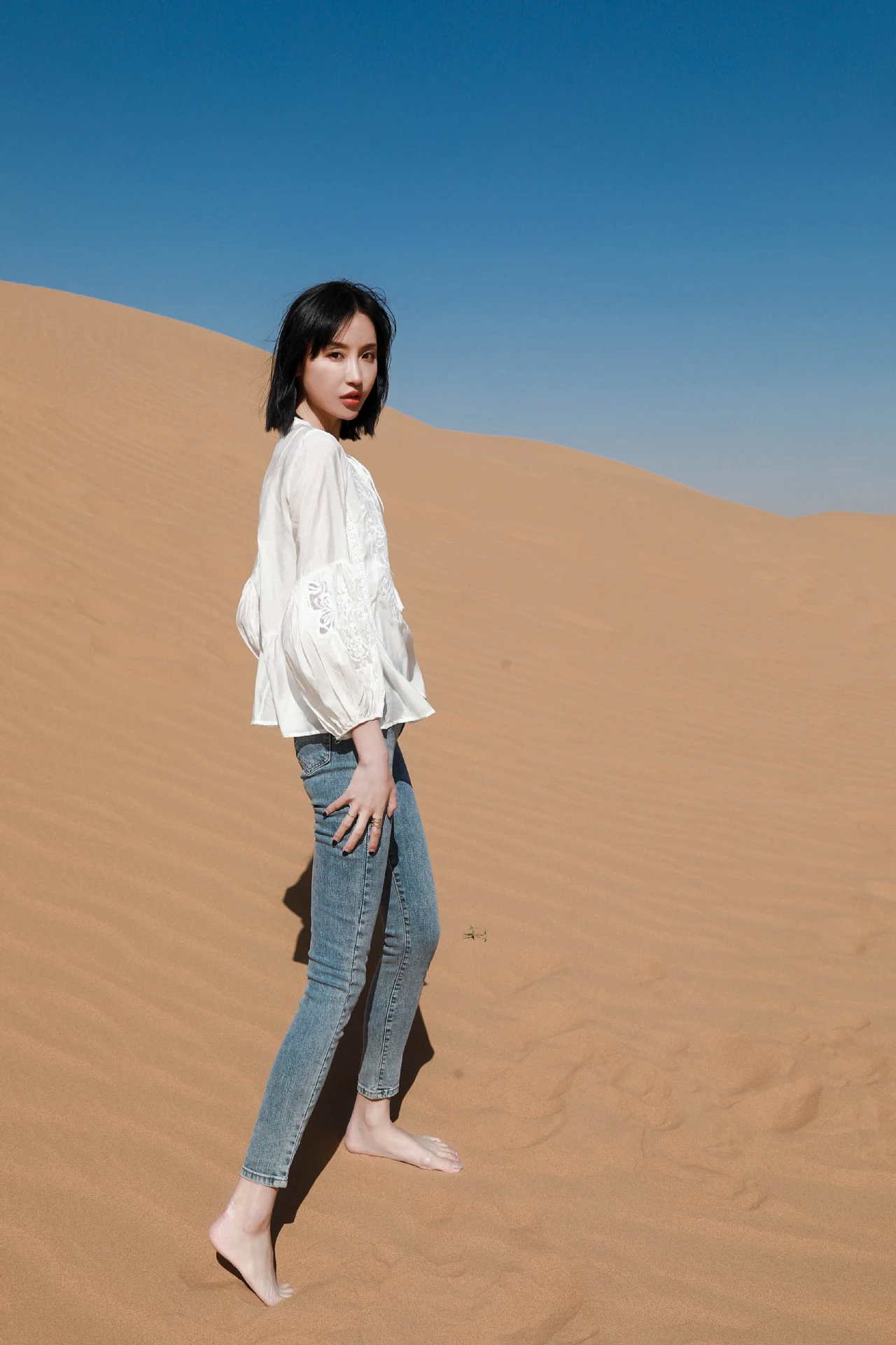 Title 1, Fashion Embroidered Loose Lantern Sleeve Shirt ...