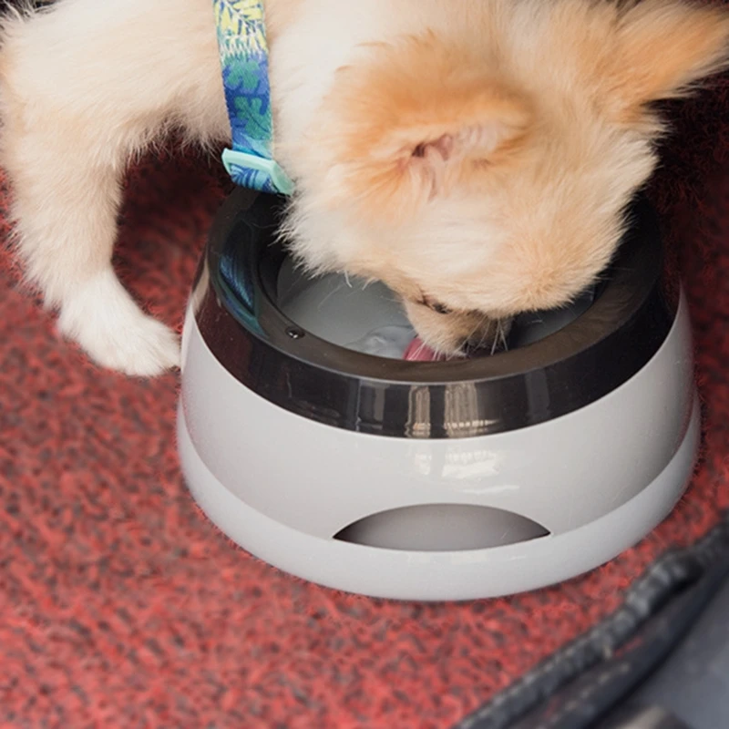 Title 5, Dog Bowl No Spill Pet Water Bowl Non-Drip Slow ...
