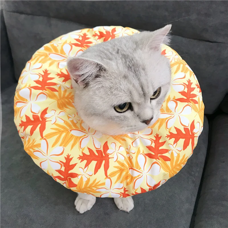Title 7, Pet Sterilization Shame Circle cotton collar fo...