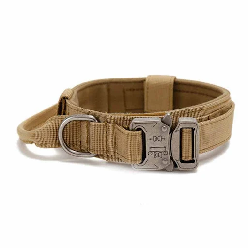 Title 8, Simple Solid Color Outdoor Traction Pet Collar....