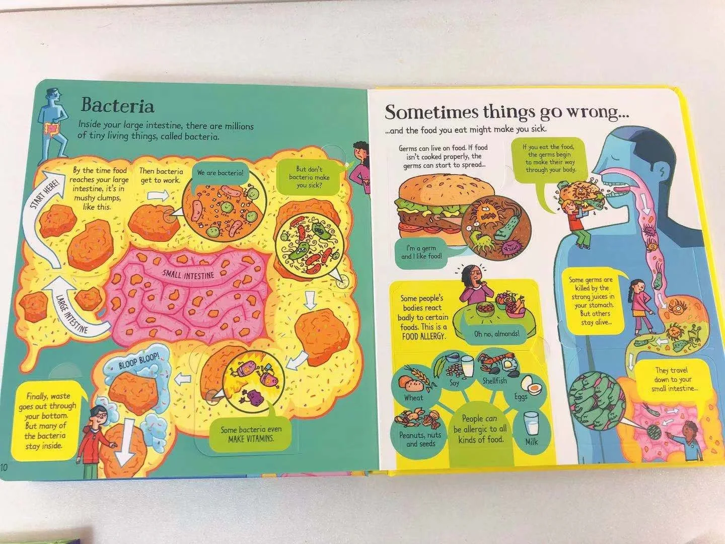 Title 14, Enciclopédia Infantil Ilustrada