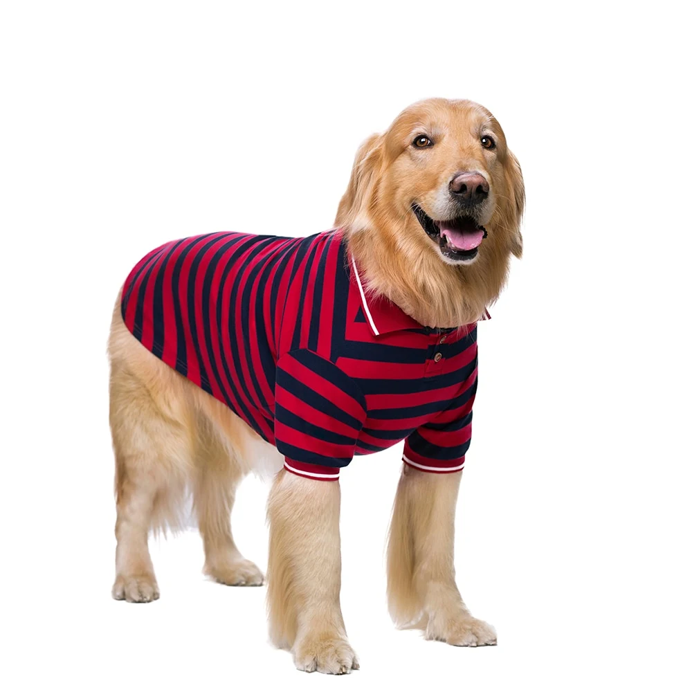 Title 5, İki bacaklı evcil hayvan polo tişörtü. Köpekler...