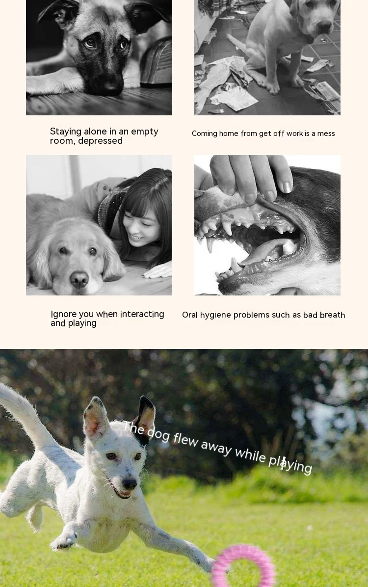 product image - 10