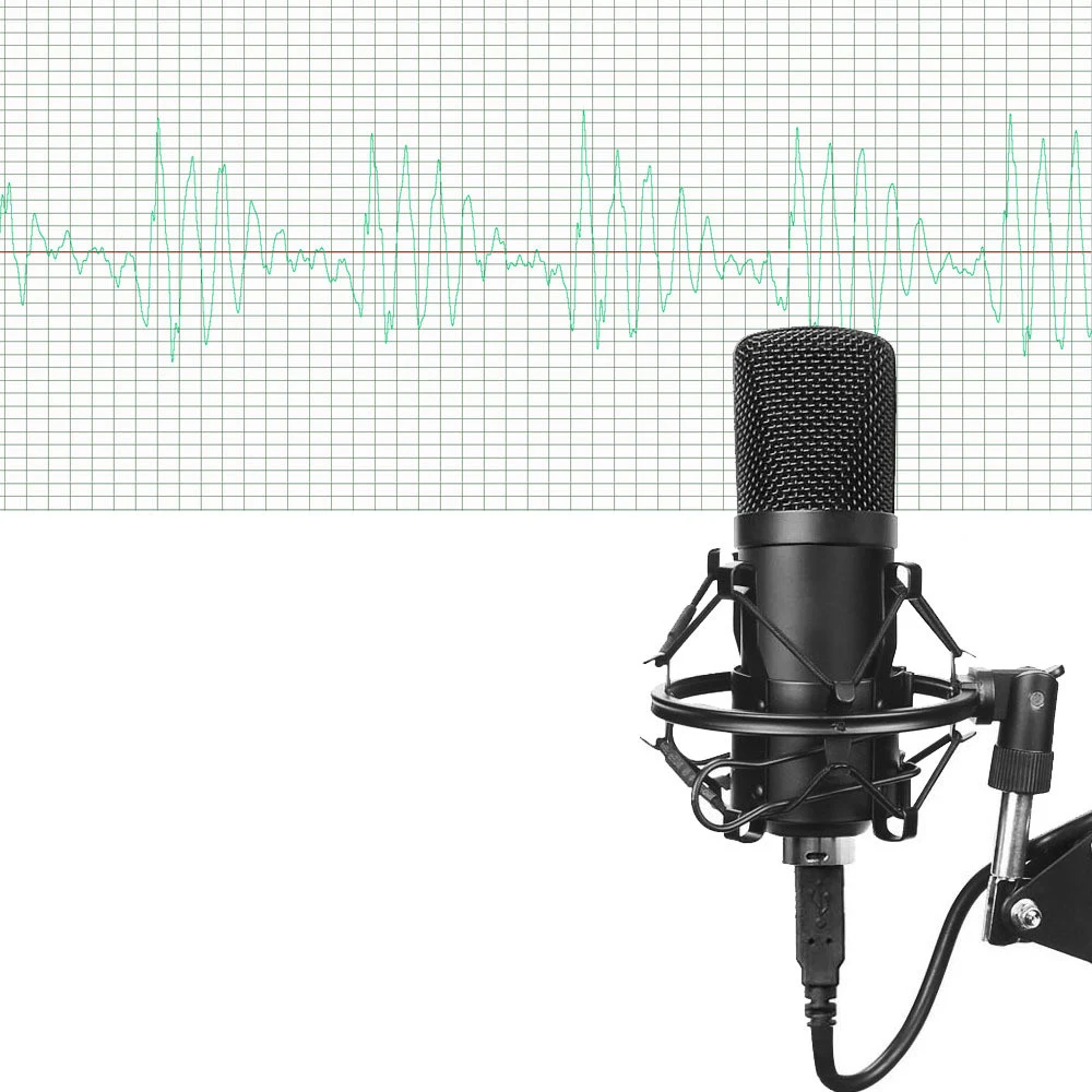 Title 2, Professional microphone set for recording and l...