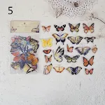 Wind Love Butterfly