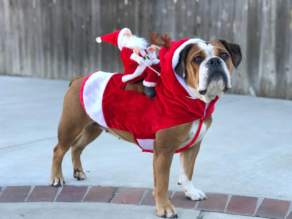 Title 5, Dog Christmas Clothes Santa Claus Riding Deer, ...