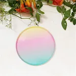9inch rainbow plate