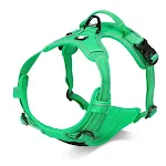 Grass green