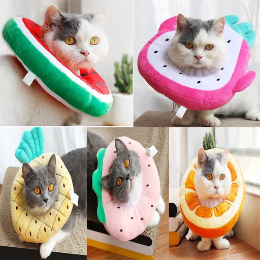 product image - 4