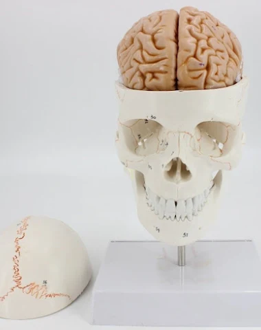 Image product - 3