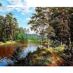40x50cm