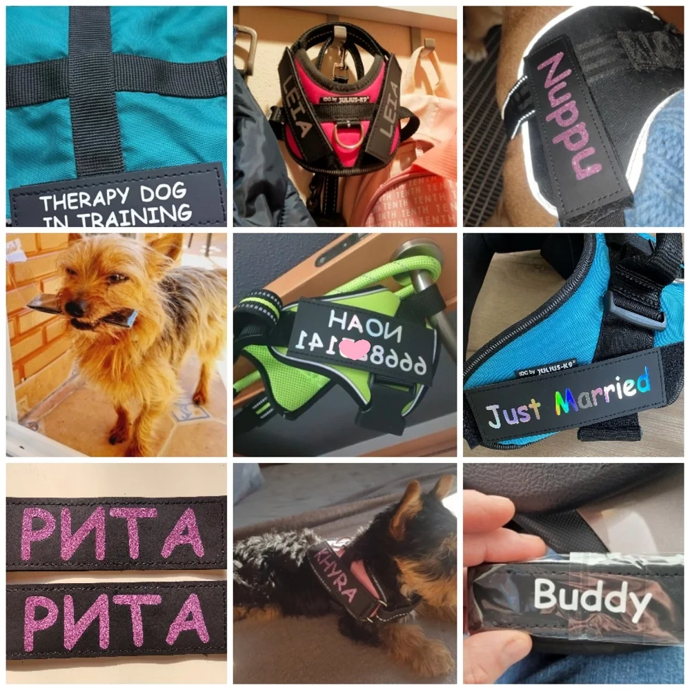 Title 3, 2 PCS Personalized Dog Name Tag Reflective Pet ...