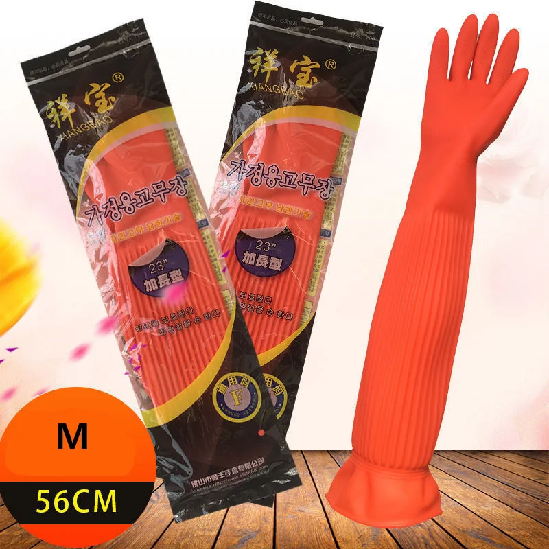 Title 5, Luvas de borracha de látex de tendão