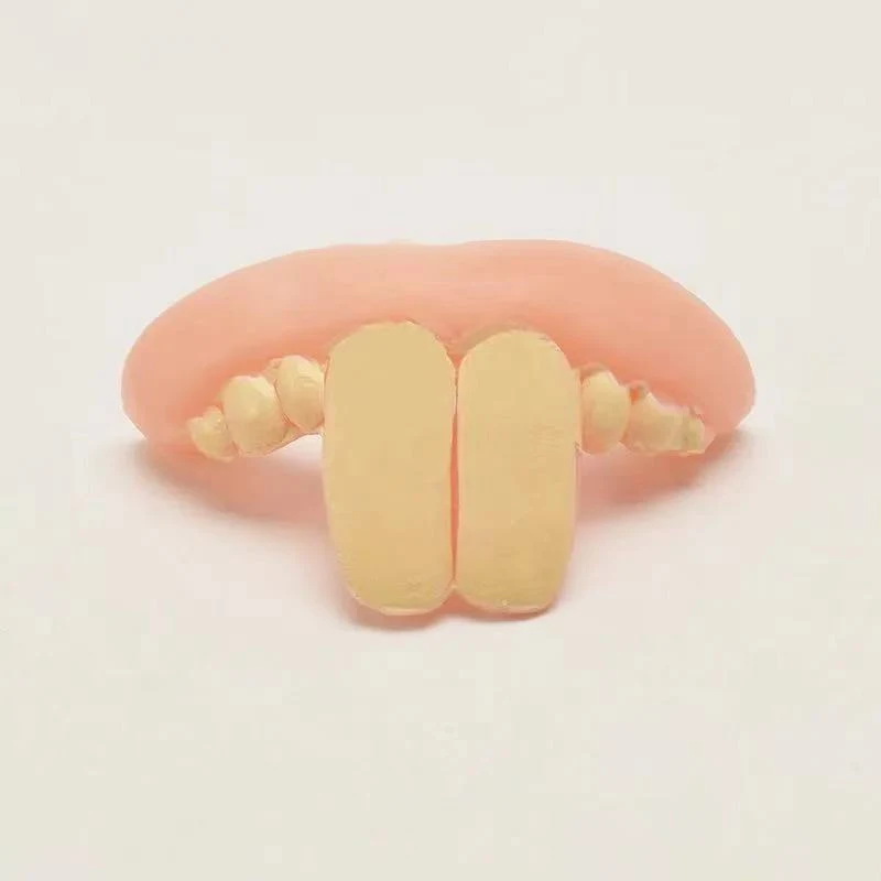 Brinquedo completo engraçado para Corgi com dentes de coelho! Conjunto de dentes falsos para diversão e brincadeiras interativas. — foto 14
