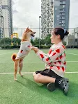 Pet