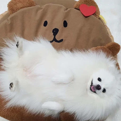 product image - 0